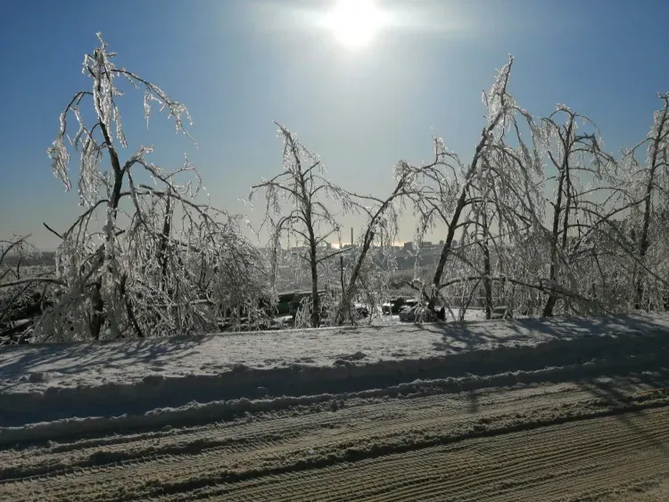 Ледяной дождь 2020 года вспоминают во Владивостоке 