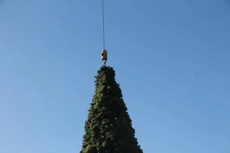 Первую новогоднюю елку в России зажгли на Дальнем Востоке