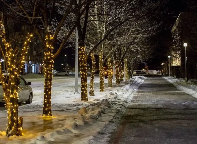 Арки засияют в центре Благовещенска в выходной день