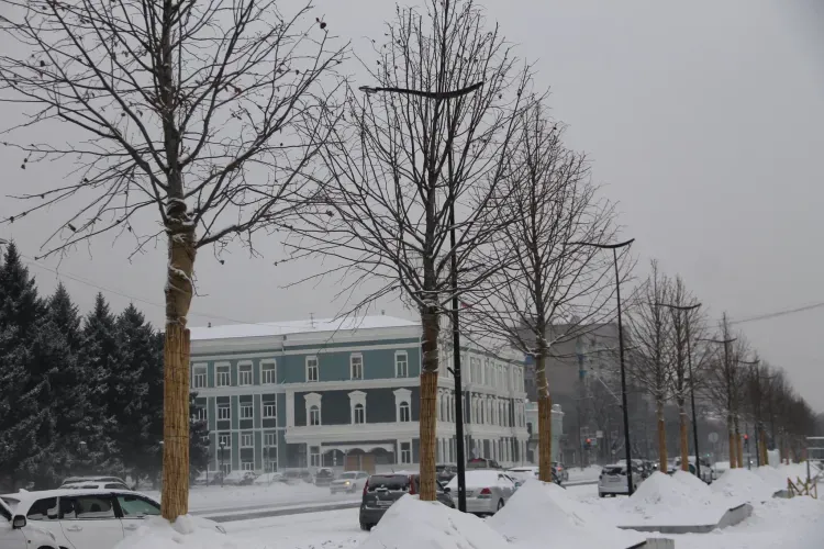 Снежные горки и арки изо льда: главная площадь Благовещенска готовится к Новому году