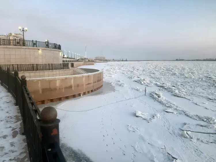 Сохраняется влияние антициклона и погода в Амурской области 25 декабря - без осадков 