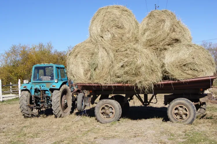 Прокопьев день отмечается 3 января