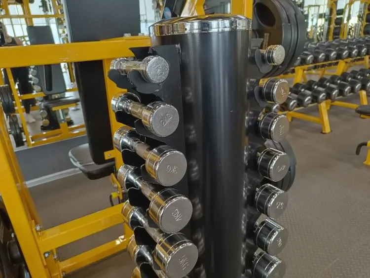 Амурчан, занимающихся спортом, становится больше