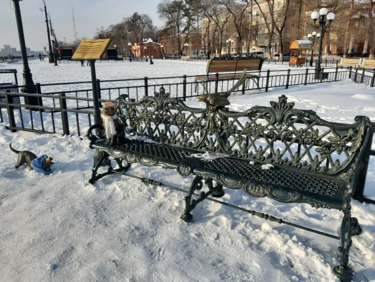 В Амурской области 11 января по востоку небольшой снег 