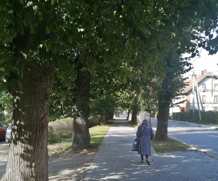 Реформу накопительных пенсий готовят россиянам в 2022 году