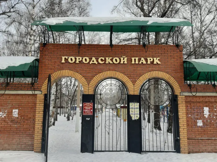 Парки и пешеходные зоны благоустроят в Приамурье по нацпроекту