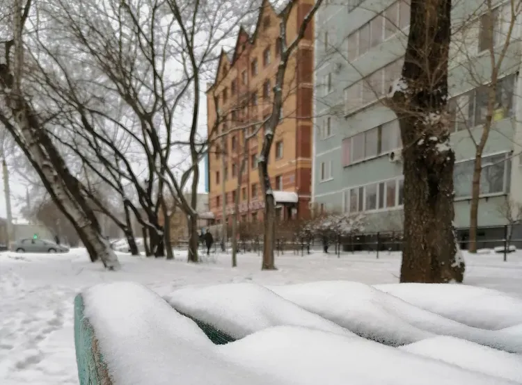 Снег выпадет в Амурской области 14 февраля
