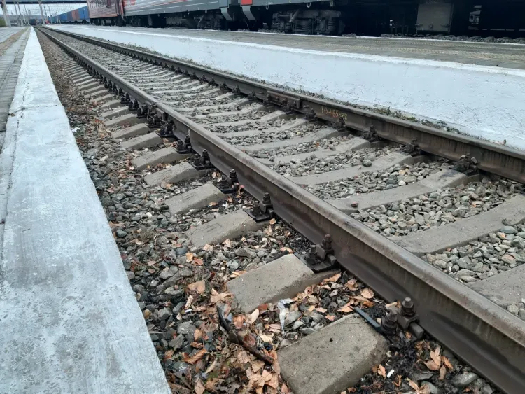 Грузовой поезд протаранил выехавший на пути лесовоз в Приморье