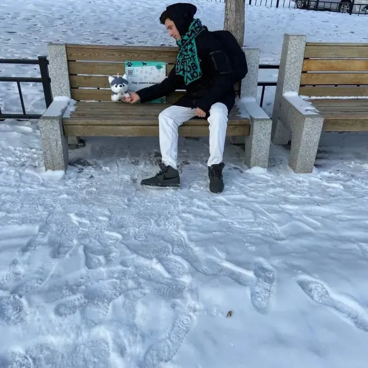 Плюшевые собаки с QR-кодами появились в людных местах Благовещенска