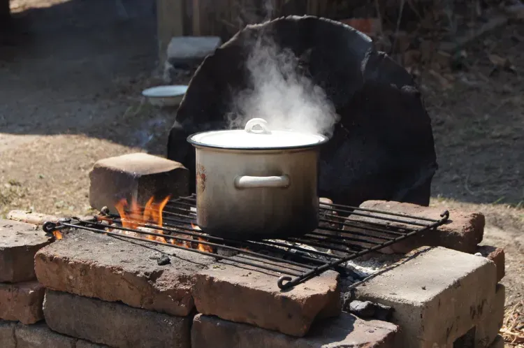 Вкусные маршруты для туристов появились в Амурской области