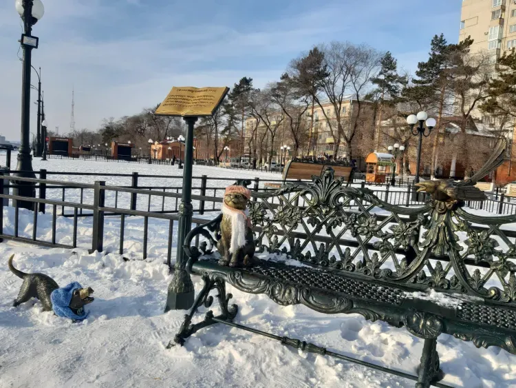 Температура со знаком плюс установится в Амурской области 24 февраля