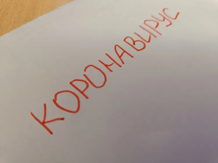 "Ковидники" и "локдаун": лексику пандемии изучил амурский школьник