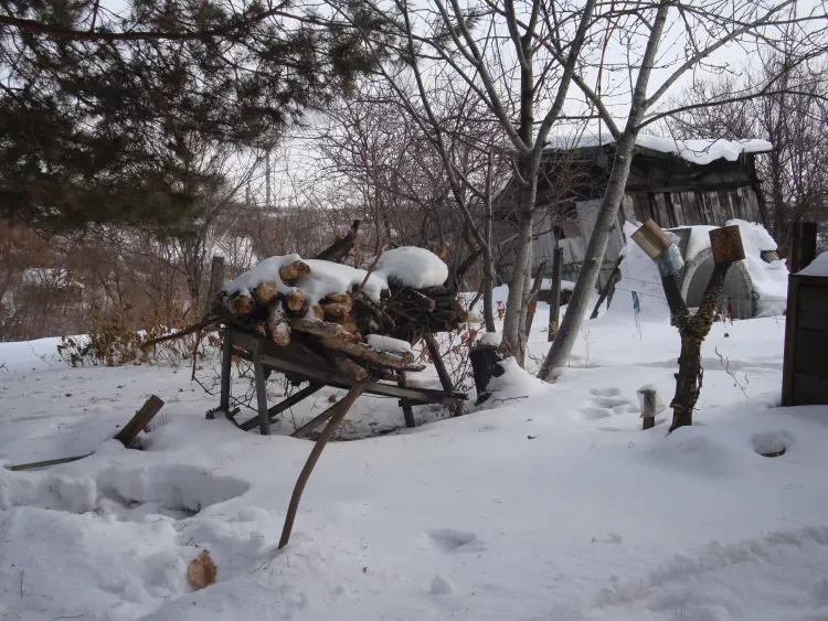 На Федора Тирона и Мариамны Кикиморы завершался период зимних свадеб 