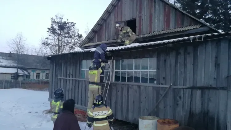 Пожарные спустили на землю жителя Свободного, решившего почистить трубу