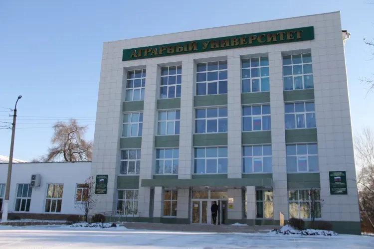 Ректоры трех вузов Приамурья поддержали президента и спецоперацию на Украине