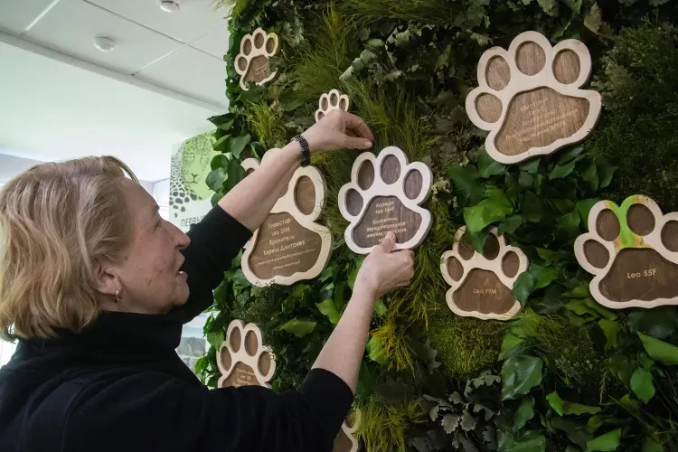 Пряный леопард появился в Приморье