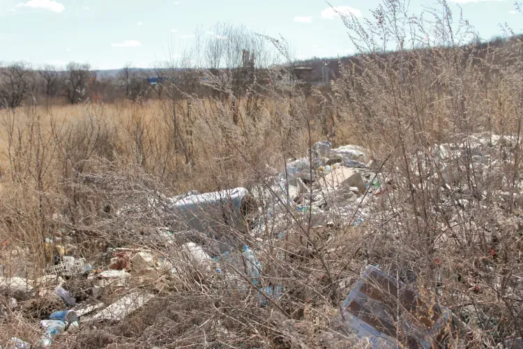 Свалки на десятки и сотни метров разрослись в Приамурье
