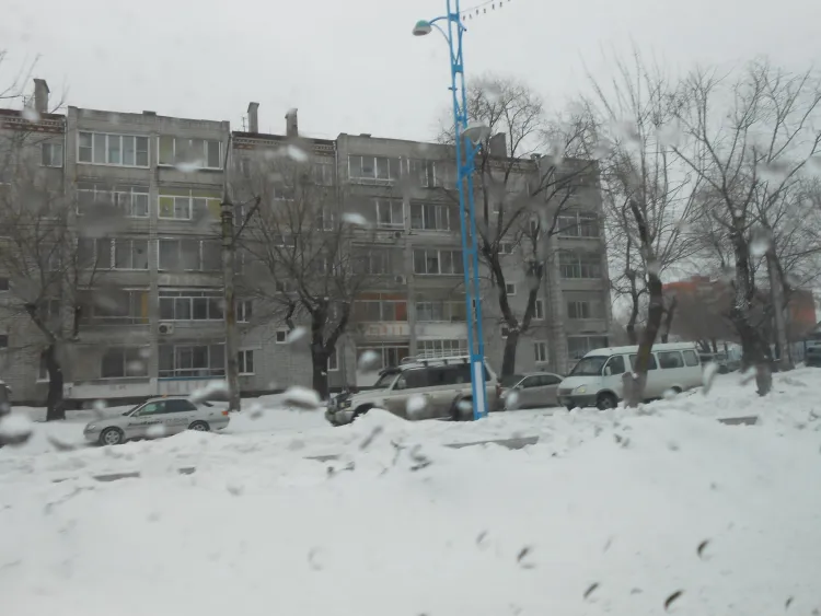 На территории Амурской области 25 марта по югу осадки, в отдельных районах сильные