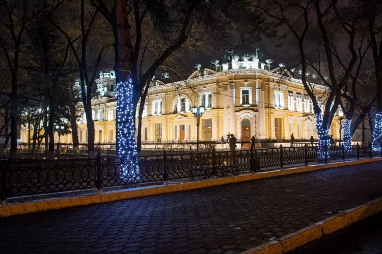 Подсветку на муниципальных зданиях отключат в Благовещенске