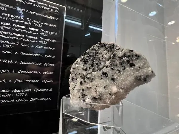 Коллекция рудных минералов из Приморского края представлена в амурском музее