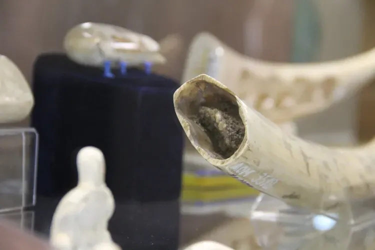 Куклы народов Севера и скульптуры из бивня мамонта показали амурчанам (фото)