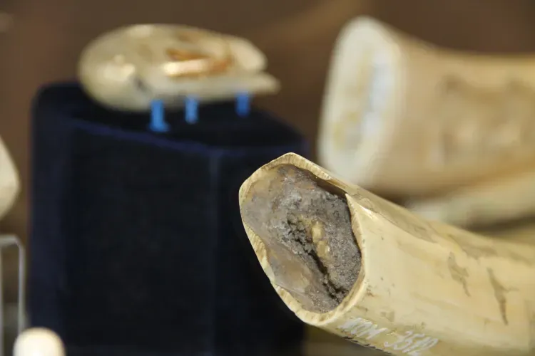 Куклы народов Севера и скульптуры из бивня мамонта показали амурчанам (фото)