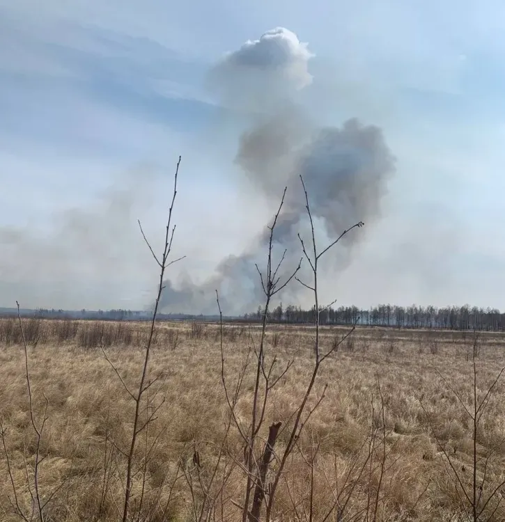Особый противопожарный режим действует во всей Амурской области