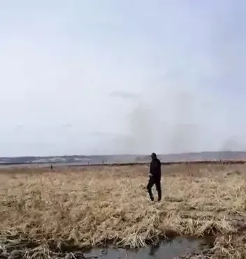 Поле под картофель в Благовещенском районе очищали огнем