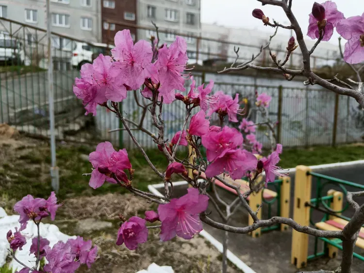 Две короткие рабочие недели ожидают россиян в мае