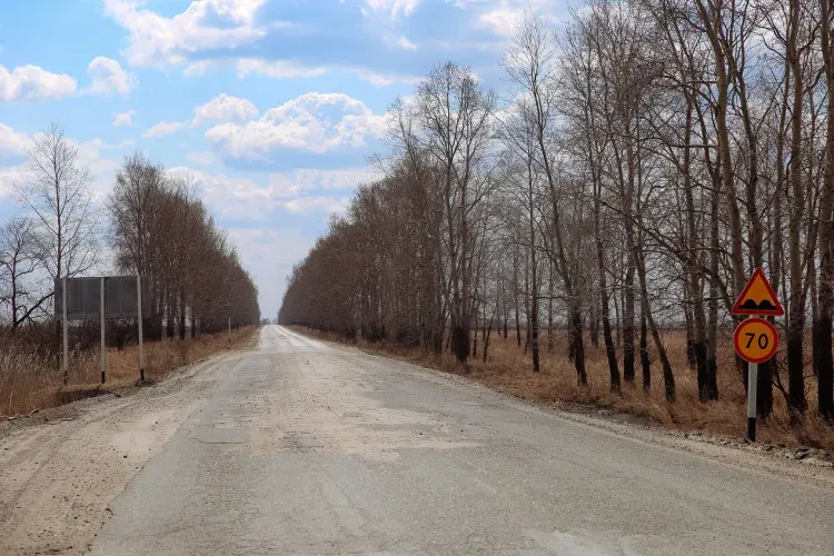 Региональную дорогу между Серышево и Белогорском обновят за 2,5 года