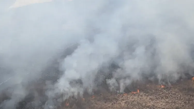 Крупный пожар в Мазановском районе тушили шесть дней