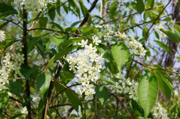 Трехдневная рабочая неделя началась для россиян