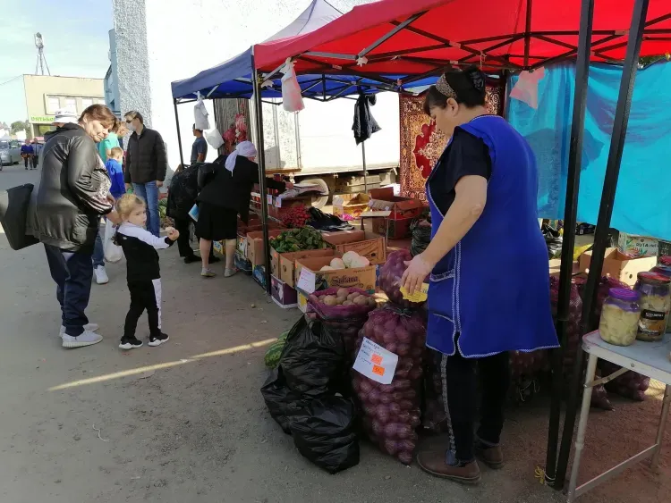 Оптово-розничные рынки, исчезнувшие в нулевые, возродят в России