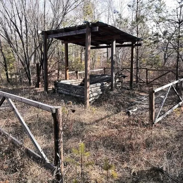 Бесхозяйные скотомогильники ликвидируют в Благовещенском районе 