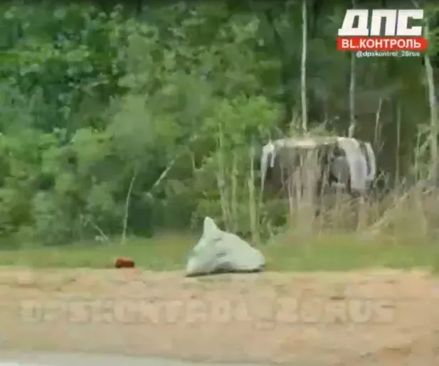 Автомобиль с пьяной автоледи перевернулся под Благовещенском