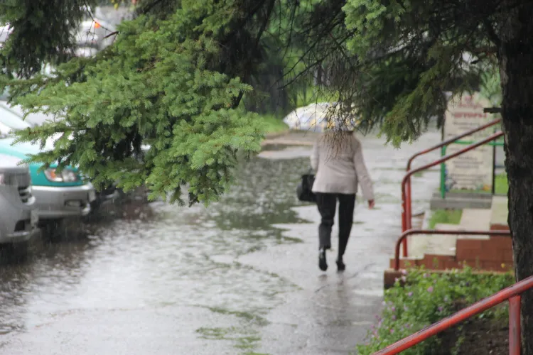 На территории Амурской области 31 мая днем местами сильные дожди, грозы