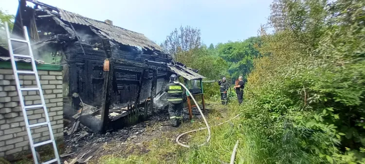 Котят эвакуировали из подвала при пожаре в Бурее