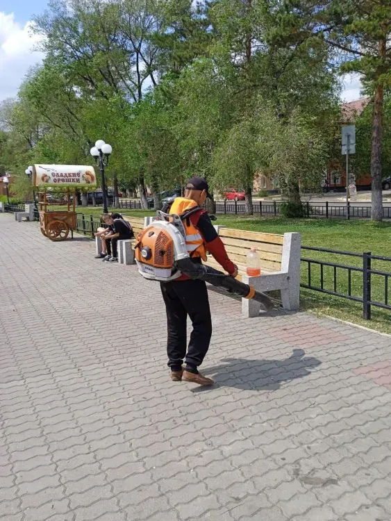 Молодожены и владельцы собак огорчают уборщиков набережной Благовещенска