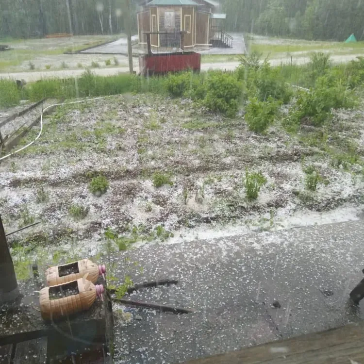 Град в ведро собрали жители Свободного 