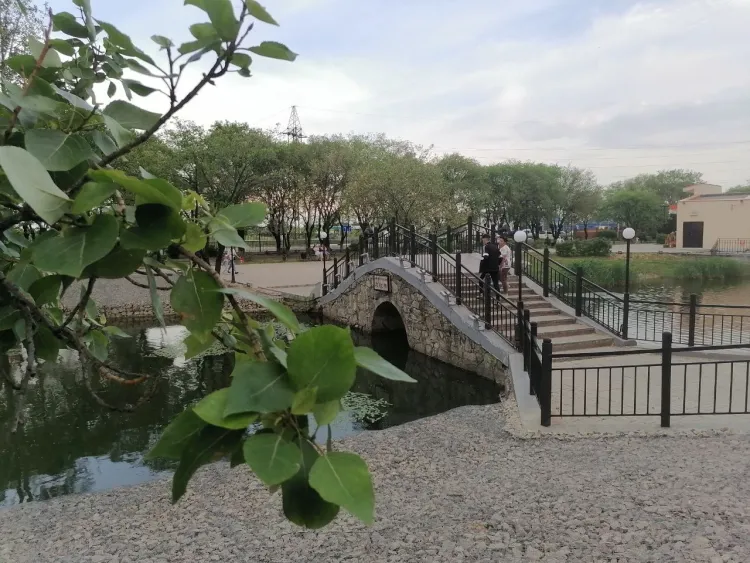 На территории Амурской области 23 июня кратковременные дожди, местами ливни, грозы