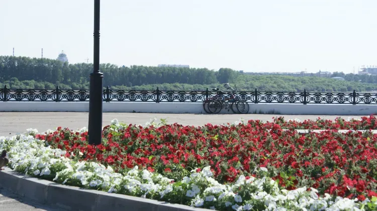 На территории Амурской области 25 июня местами по югу кратковременные дожди, грозы