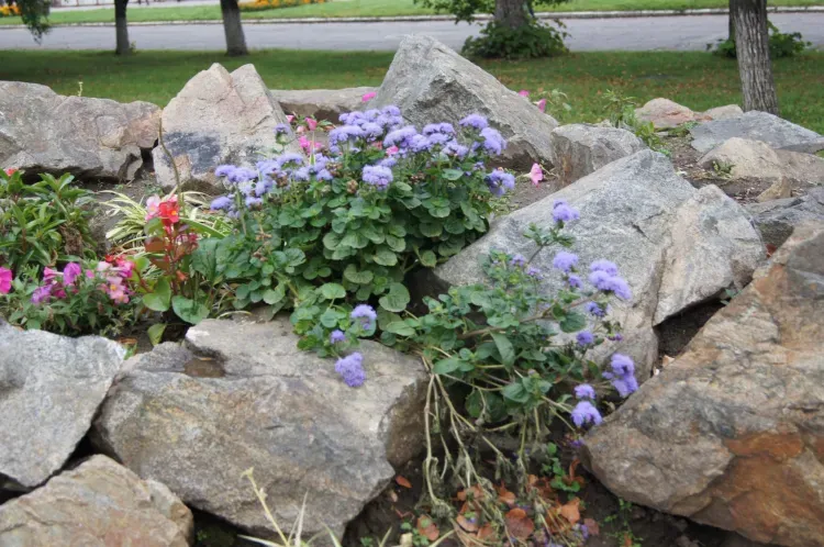 На территории Амурской области 28 июня в отдельных районах кратковременные дожди, грозы