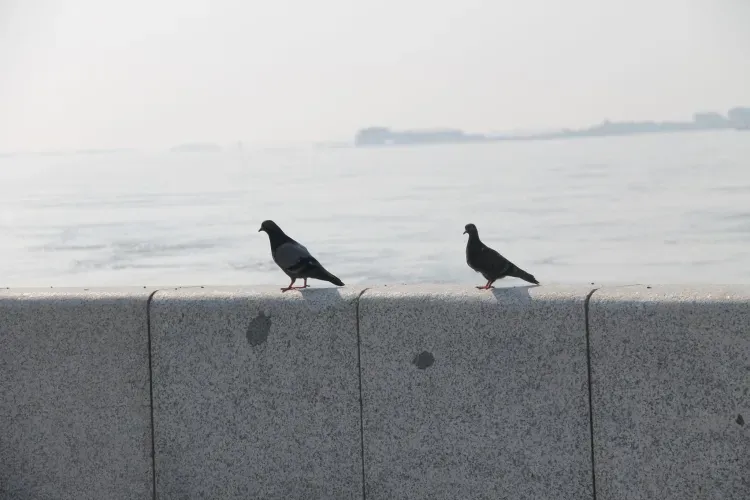 На территории Амурской области 29 июня местами кратковременные дожди, грозы