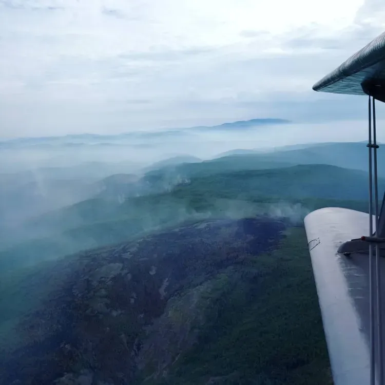 Шесть природных пожаров, вызванных грозами, действуют в Приамурье