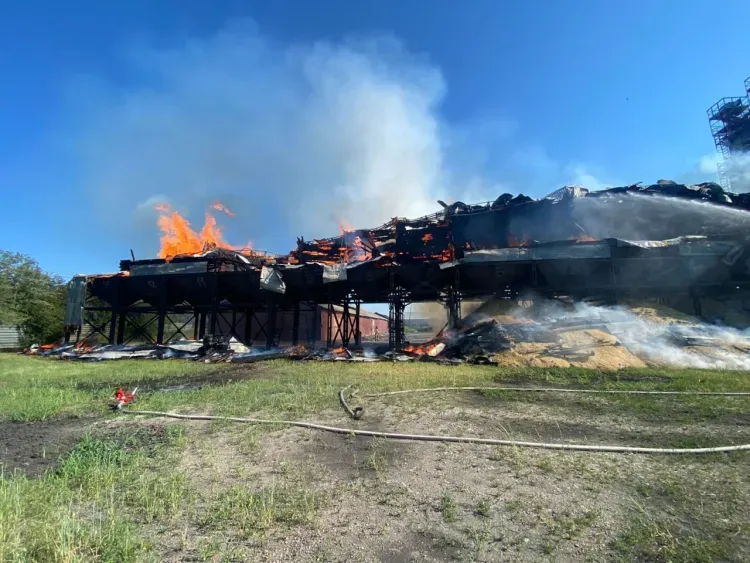 500 тонн сои спасли при пожаре на зерновом дворе в Тамбовском районе