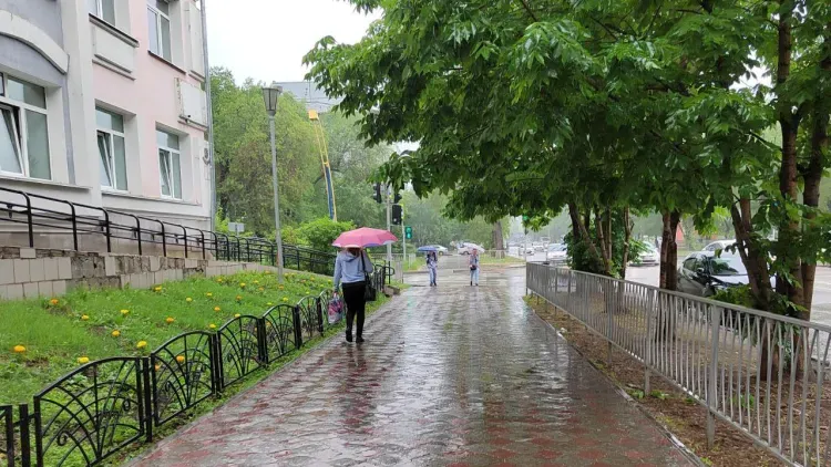 Два циклона обрушатся на Амурскую область на этой неделе