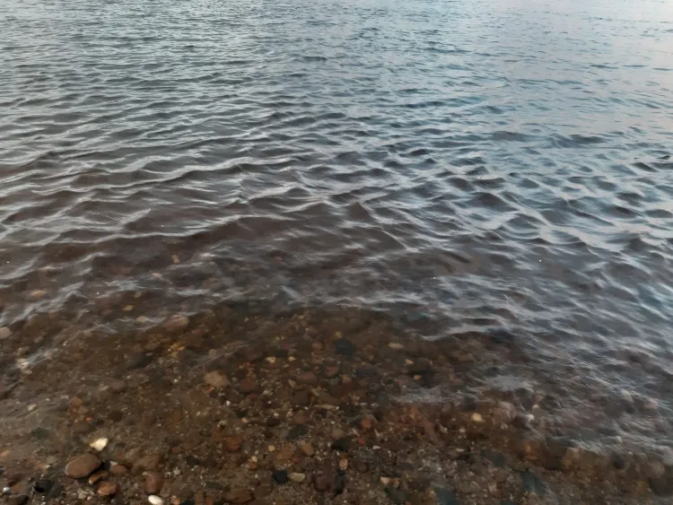 11-летний мальчик пропал в Мазановском районе, его рюкзак найден у реки