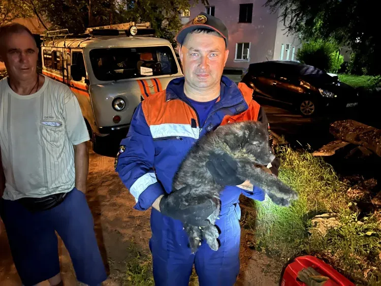 Щенка из глубокой ямы достали спасатели в Благовещенске