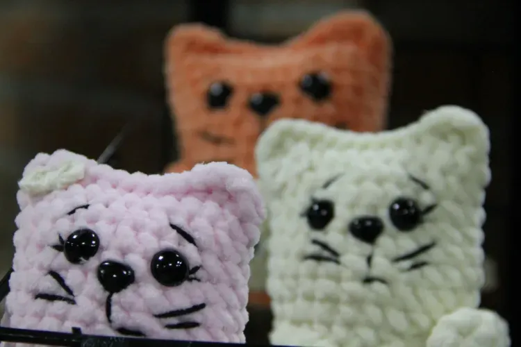 Котята и обезьяны встречают посетителей первого в Амурской области котокафе