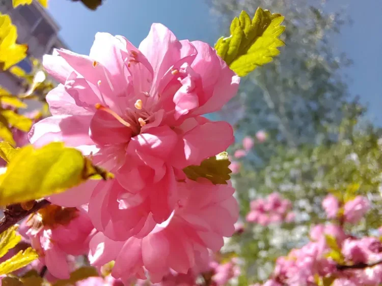 На территории Амурской области 12 июля в отдельных районах кратковременные дожди, грозы